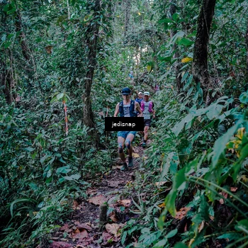 Runner Photo 5217741