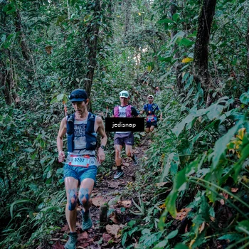 Runner Photo 5217742