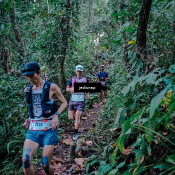 Runner Photo 5217749