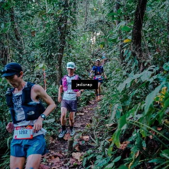 Runner Photo 5217751