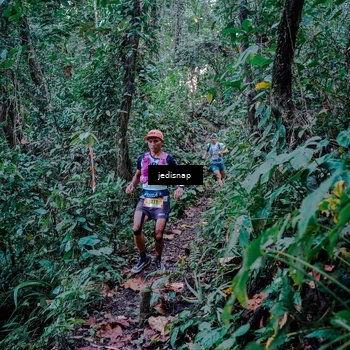 Runner Photo 5217753