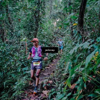 Runner Photo 5217761