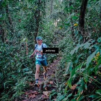 Runner Photo 5217764