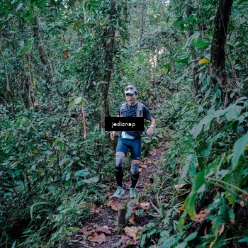 Runner Photo 5217769