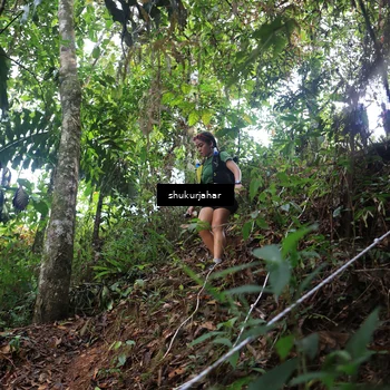Runner Photo 5217778