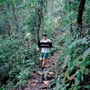 Runner Photo 5217799