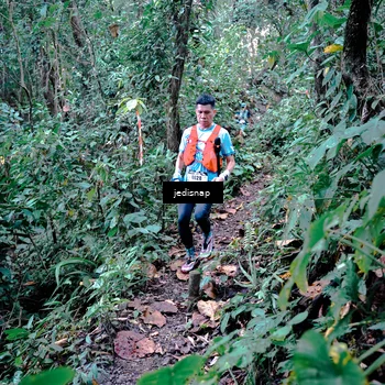 Runner Photo 5217876