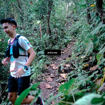 Runner Photo 5217941