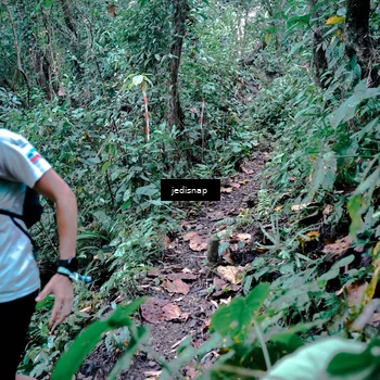 Runner Photo 5217945