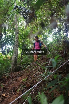 Runner Photo 5218777