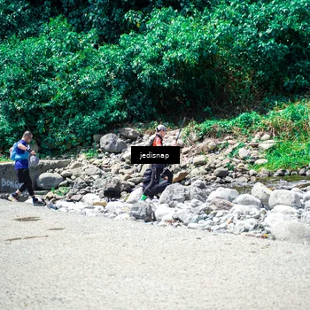 Runner Photo 5219023