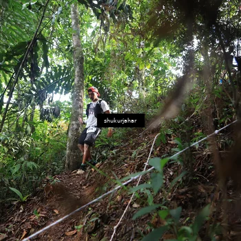 Runner Photo 5219191