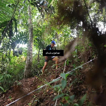 Runner Photo 5219352