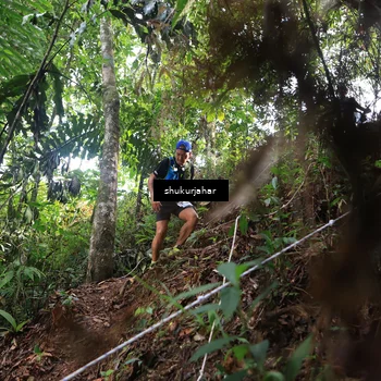 Runner Photo 5219354