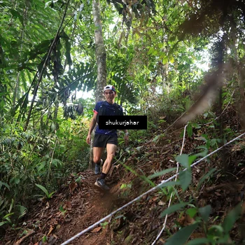 Runner Photo 5219452