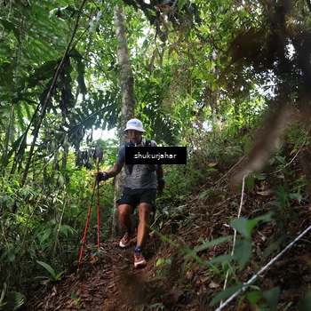 Runner Photo 5219517
