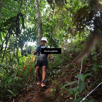 Runner Photo 5219526