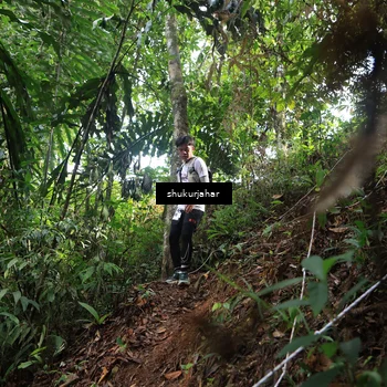 Runner Photo 5219567