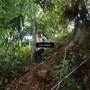 Runner Photo 5219576