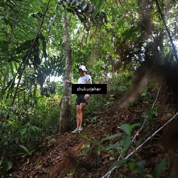 Runner Photo 5219628