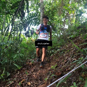 Runner Photo 5219682