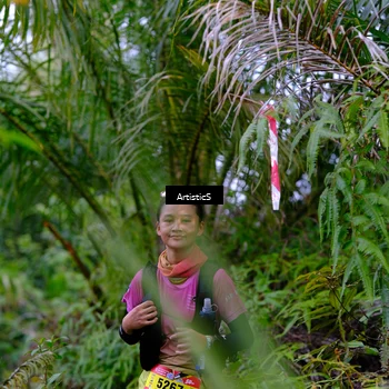 Runner Photo 5219683