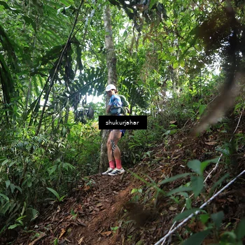 Runner Photo 5219717