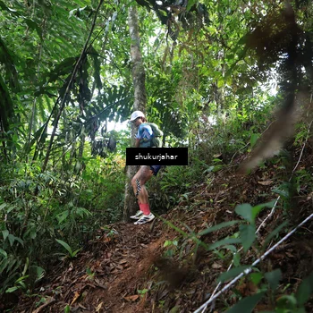Runner Photo 5219721