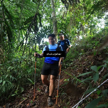 Runner Photo 5219756