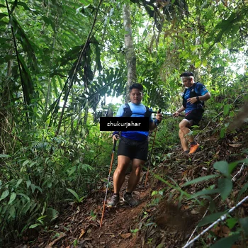 Runner Photo 5219758