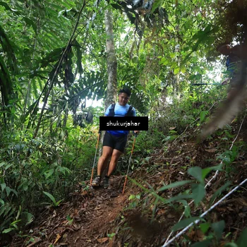 Runner Photo 5219767