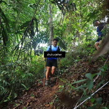 Runner Photo 5219768