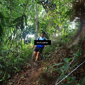 Runner Photo 5219769