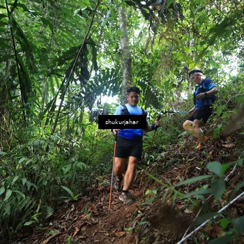Runner Photo 5219770