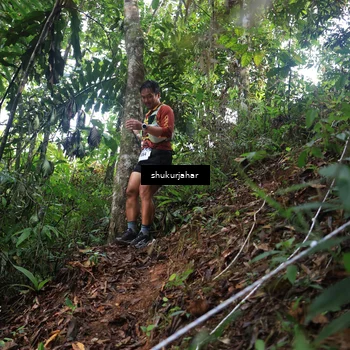 Runner Photo 5219829