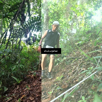 Runner Photo 5219864
