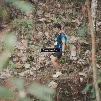 Runner Photo 5220136