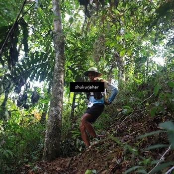 Runner Photo 5220141