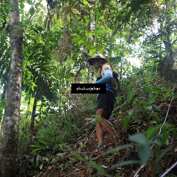 Runner Photo 5220157