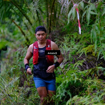 Runner Photo 5220177