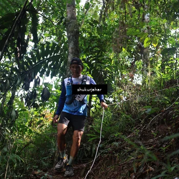 Runner Photo 5220186