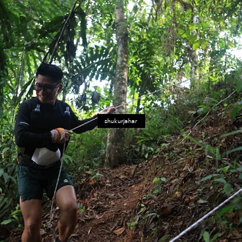 Runner Photo 5220259