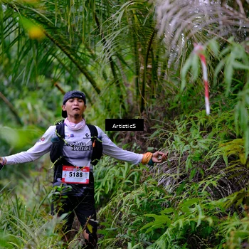 Runner Photo 5220295