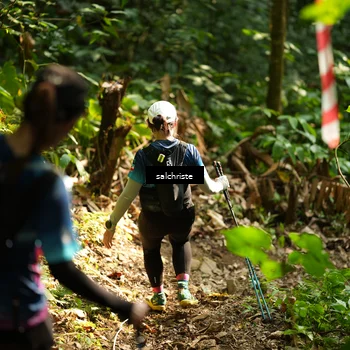Runner Photo 5220304