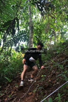 Runner Photo 5220306