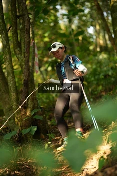 Runner Photo 5220310