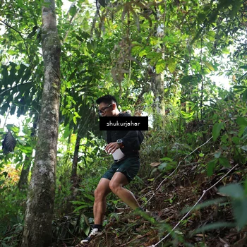 Runner Photo 5220357