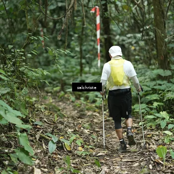 Runner Photo 5220407