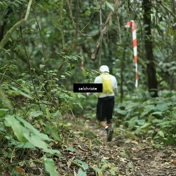 Runner Photo 5220417