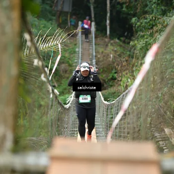 Runner Photo 5220491